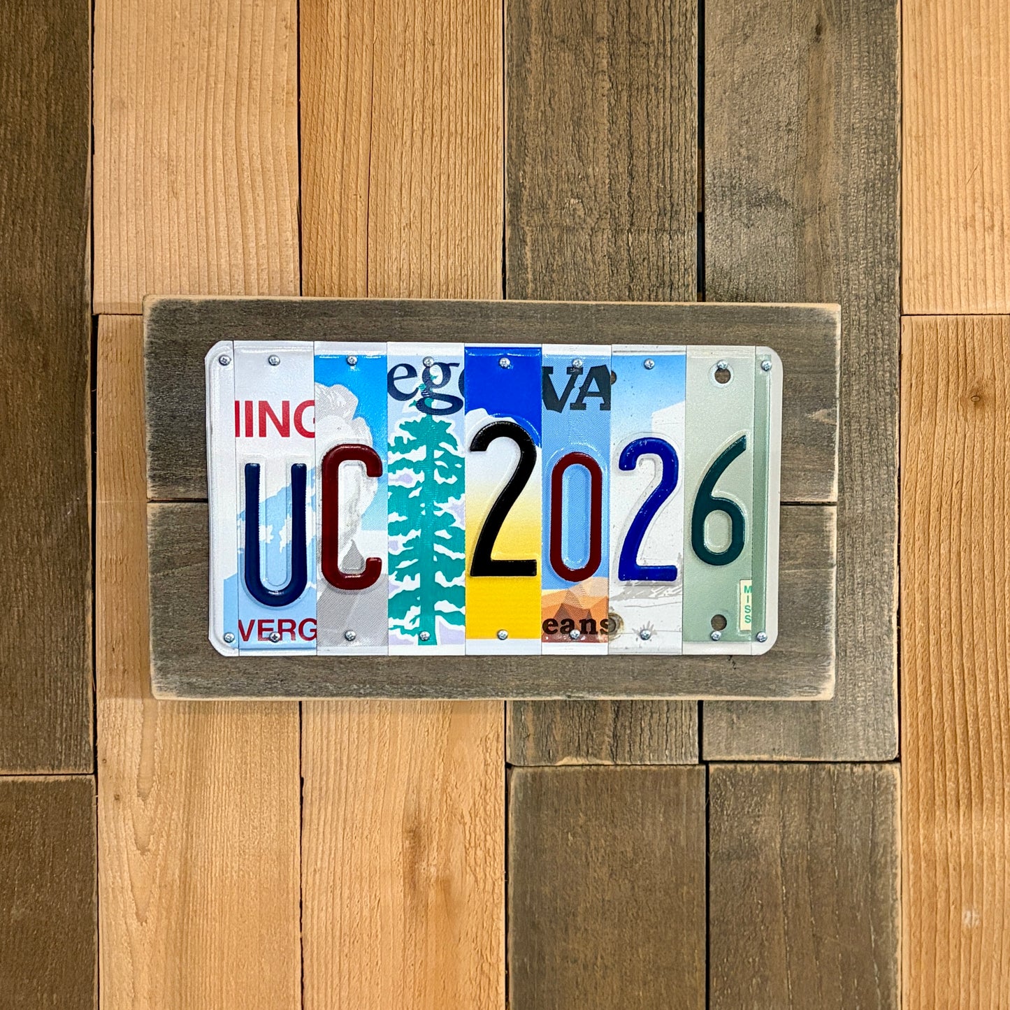 Personalized Graduation License Plate Sign – Custom College Name & Year Gift – Unique Grad Gift for Him or Her