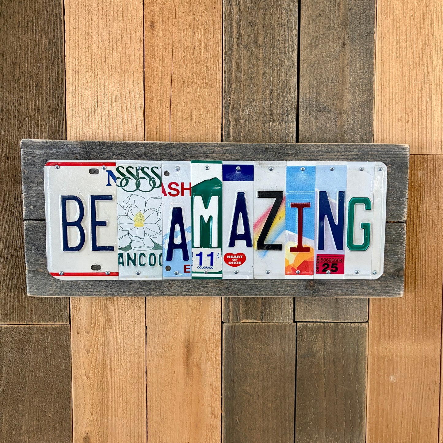 Personalized Graduation Gift for Him | Custom License Plate Sign for High School Senior Boy (Class of 2026)