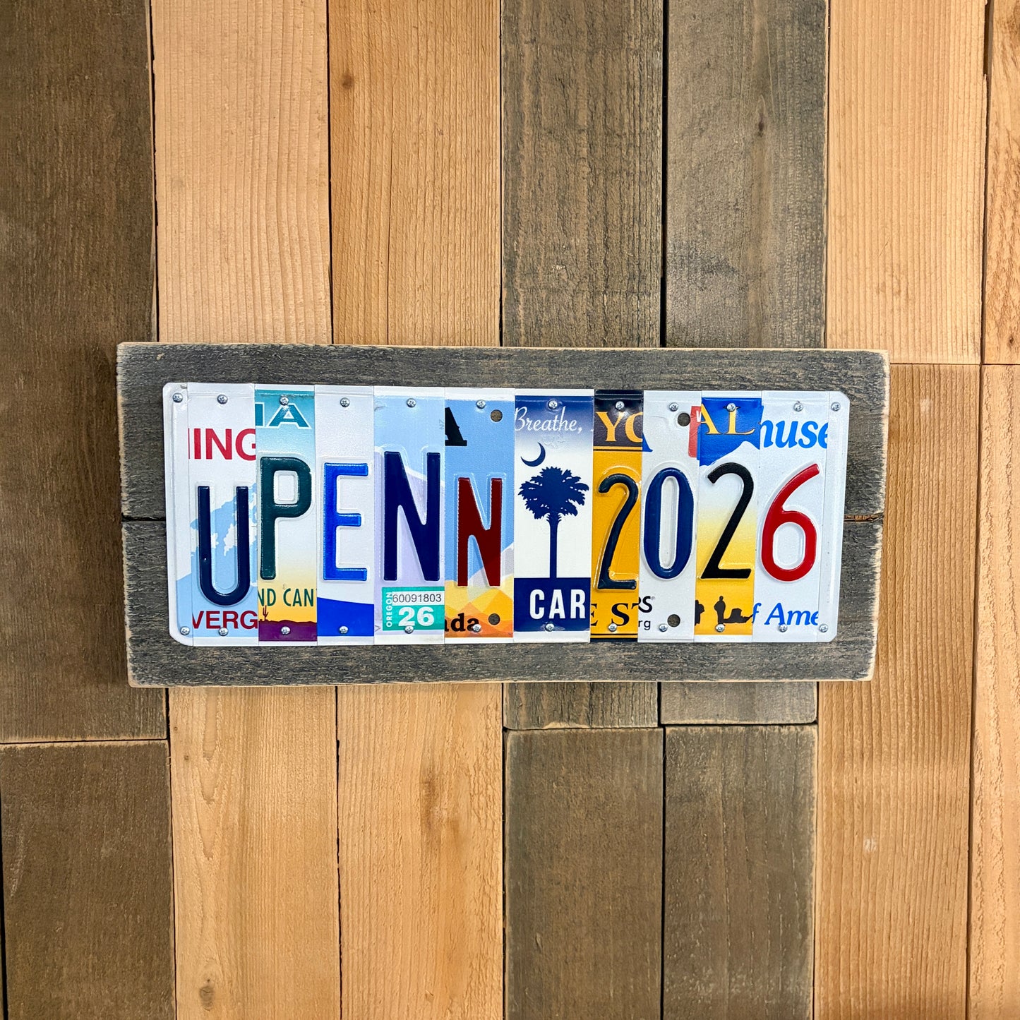 Personalized Graduation Gift for Him | Custom License Plate Sign for High School Senior Boy (Class of 2026)